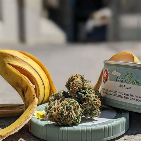 Blue Banana is a hybrid weed strain made by crossing Blue Dream and Banana OG. Reviewers on Leafly say this strain makes them feel happy, focused, and relaxed. Blue Banana has 21% THC and 1% CBG .... 