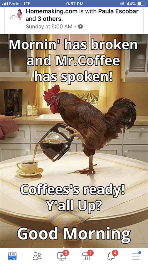 Wake up on the right side of the bed with our coffee puns and barista jokes. These funny coffee jokes, latte puns and espresso puns will kick-start your morning with enough energy to last all day .... 