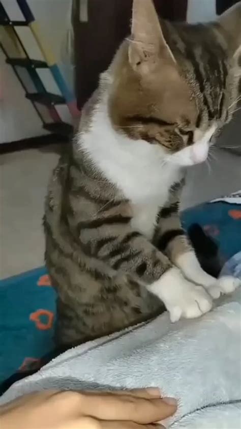 Dirty pussy brown eye pussy lips. .  <a href=https://bq.onyxtec.io/assets/images/u8...