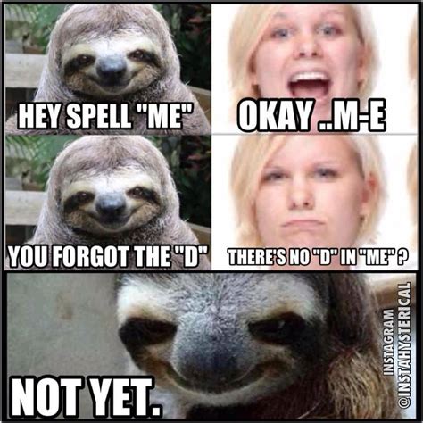 Dirty sloth memes. Things To Know About Dirty sloth memes. 