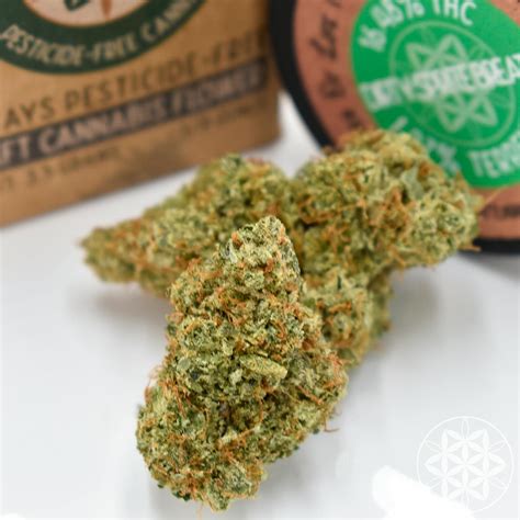 Dirty Sprite is a fully-balanced hybrid strain containing 50% Sativa and 50% Indica. Dirty Sprite is known for its potency, with many reporting a powerful head and body high from the strain. The strain ranges from 17% to 25% THC content, typically depending on price (higher-priced usually has a higher THC content).. 
