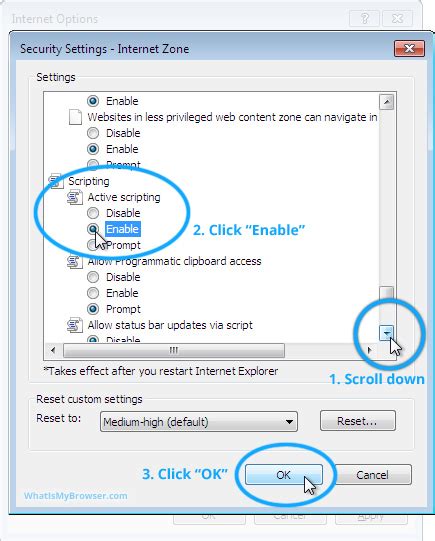 Disable Active Scripting in Internet Explorer