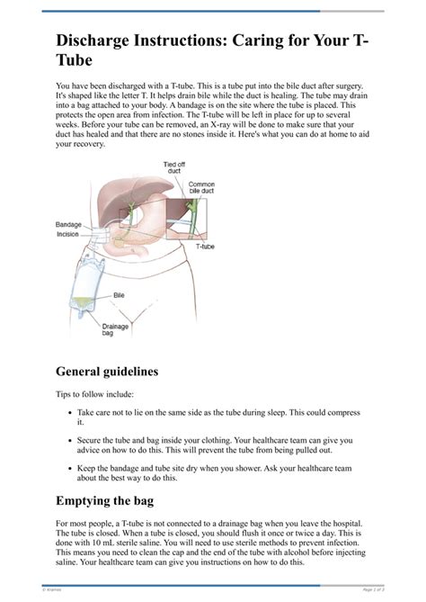 Discharge Instructions: Caring for Your T-Tube