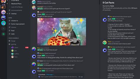 Discord ai chat bot. The most advanced Live Voice Changer & Voice Cloning tool for Discord or any other software running on a PC. Join Now! | 181712 members ... You've been invited to join. voice.ai. 18,181 Online. 181,712 Members. Display Name. This is how others see you. You can use special characters and emoji. Continue. By registering, you … 