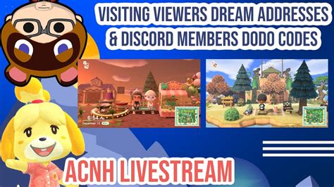 For Animal Crossing: New Horizons - Dodo Codes on the Nintendo Switch, a GameFAQs message board topic titled "Is there a dodo code discord?".. 