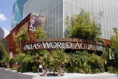 Discount Tickets Dallas World Aquarium- Save The Most On Shopping …