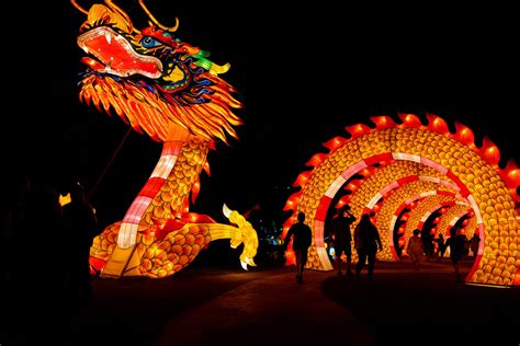 Discount code for dragon lights reno. The Dragon Lights Festival is being held at Rancho San Rafael Regional Park - a featured event of this year's Artown. The five-week exhibition has run June 30 until August 5th nightly, starting at 7:00 pm. Dragon Lights Reno Festival features 39 illuminated Chinese lantern displays, crafted by Chinese artisans. 