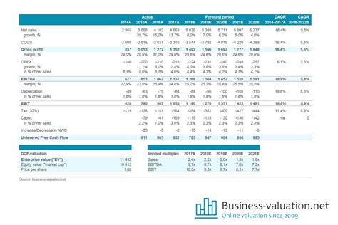 Discounted Cash Flow (DCF) Excel Model for Private Equity Eloquens
