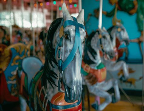 Discover Iconic New York City - Carousel at Central Park