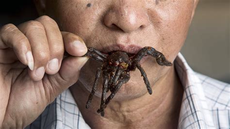 Discover People eating spiders