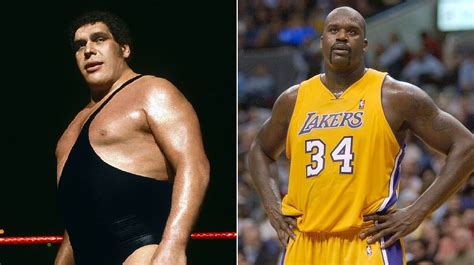 Discover andre the giant compared to shaq