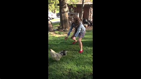 Discover girl getting attacked by rooster