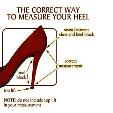 Discover how to use heels with two wheel