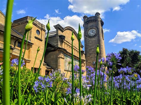 Discover more about our... - Horniman Museum and Gardens