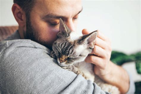 Discover person grabbing their cat