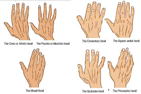 Discover shape of hands