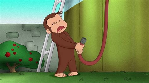 Discover sus curious george moments