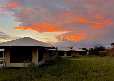 Discover the Enchanting Eco-Tents of the Everglades: A Nature Lover's Paradise