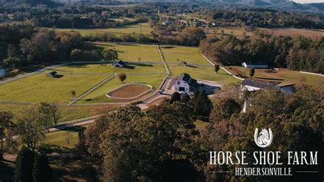 Discover the Enchanting World of Horse Shoe Farm