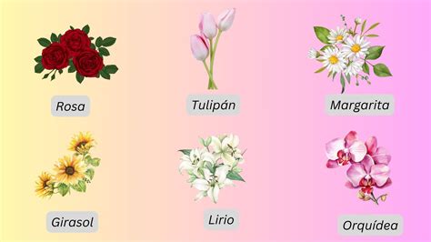 Discover the Enchanting World of Spanish Flower Names: A Journey of Beauty and Fragrance