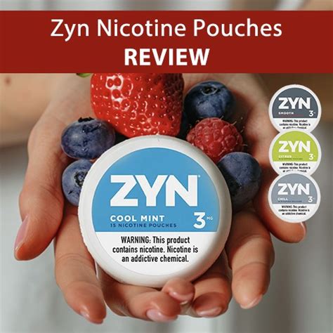 Discover the Enticing Variety of ZYN Pouches Flavors: A Flavorful Fusion