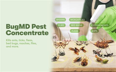 Discover the Game-Changing Power of bug md amazon for Your Business