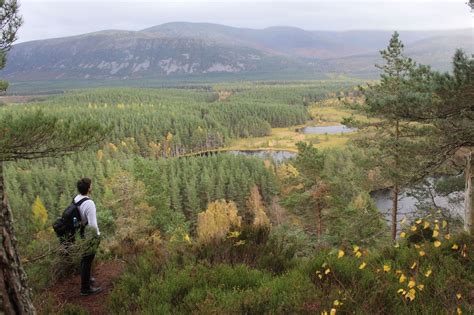 Discover the Greatest Walks in Cairngorms National Park