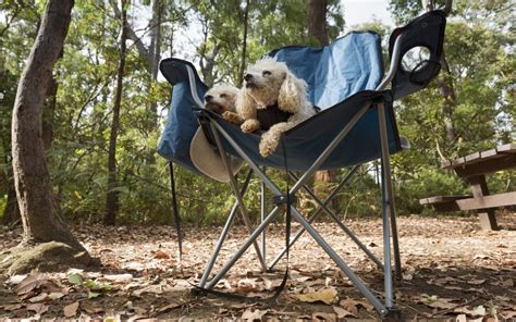 Discover the best pet-friendly campgrounds in Sunshine Coast