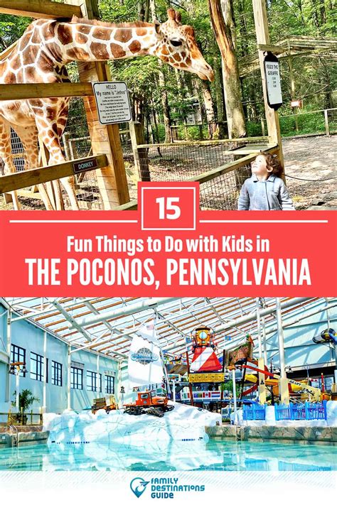 Discover the poconos with kids a guide for families. - Step by guide to using a microscope.