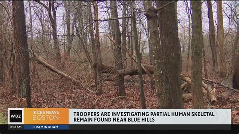 Discovery of ‘partial human skeletal remain’ at Blue Hills Reservation in Milton prompts investigation