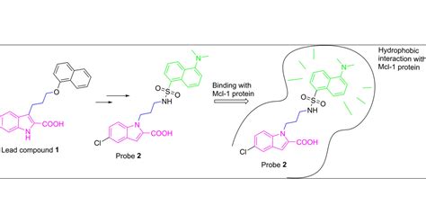 Discovery of a Turn-On Fluorescent Probe for Myeloid Cell …