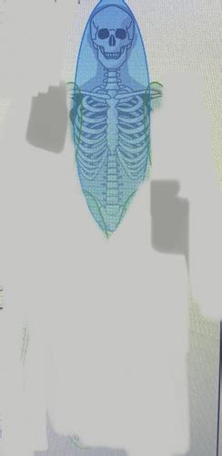 Discovery stations skeletal system quizlet.  Study with Quizlet and memo...