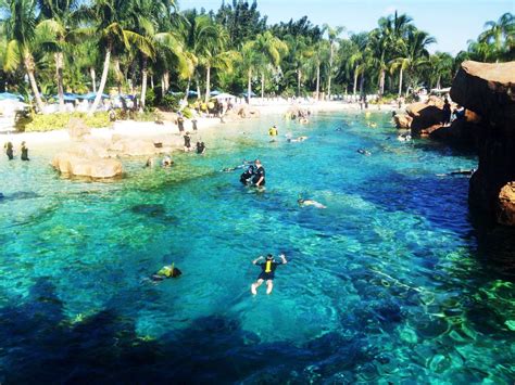Discoverycove. Discovery Cove is a one-of-a kind experience where you can interact with bottlenose dolphins, feed tropical birds, play inches from a family of otters and even walk on the Grand Reef floor-all in one day. Between … 