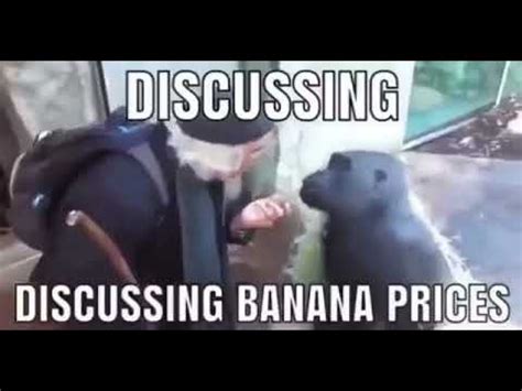 Discussing Banana Prices