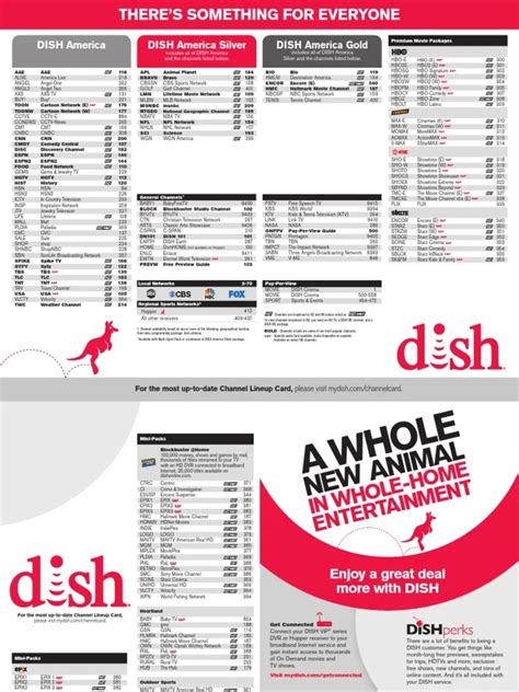 Dish Network Channels List Examples and Forms