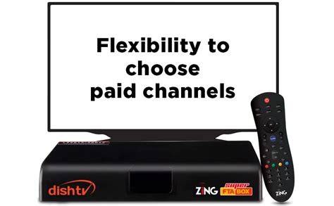 Dish TV Free to Air DTH Connection (Hindi), Zing Super …