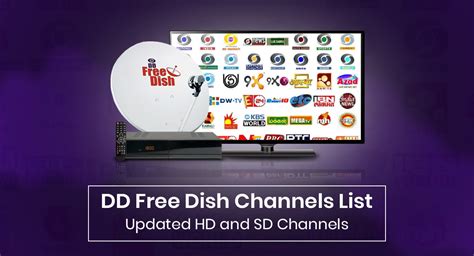 Dish Network Fireplace Channel 2022 on News