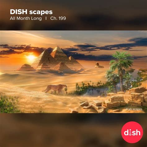 Dish scapes answers. Take a break from the cold of winter with tranquil waves in the tropics. Watch the Winter Beach Escape on Ch. 199. | winter, wind wave, tropics 