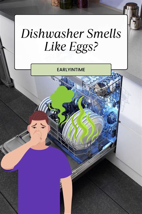 Dishwasher smells like eggs. Feb 4, 2024 · Your dishwasher smells like rotten eggs due to trapped food particles or a clogged drain line. A malfunctioning dishwasher can also lead to sulfuric odors. Dishwashers are essential household appliances that save time and maintain hygiene. 