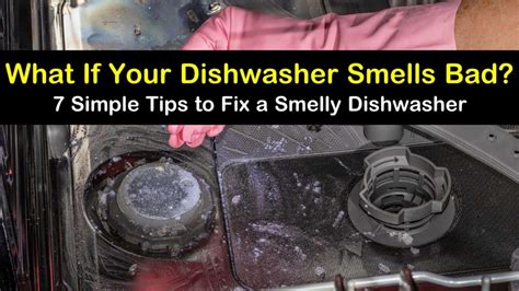 Dishwasher stinks. Top up with dishwasher salt and rinse aid. 4. Remove and clean the spray arms. 5. Run the dishwasher empty and hot. 6. Consider using a dishwasher cleaner. If your dishwasher isn't regularly maintained, then it could result in unpleasant smells or even dishes streaked with old food. Keep your dishwasher clean with this easy six-step maintenance ... 