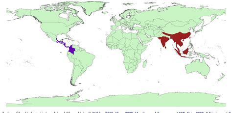 Disjunct distribution - Wikipedia