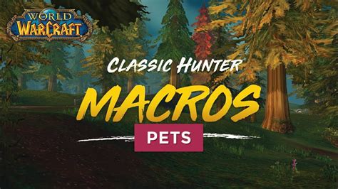 Dismiss pet macro. It's super useful to have Kill Shot on a mouseover macro. This allows you to continue attacking your primary target while quickly being able to snipe low health enemies. #showtooltip Kill Shot /cast . If you have a pet out, place this before any ability you wish to use to command your pet to attack that target. #showtooltip Aimed Shot /petattack 