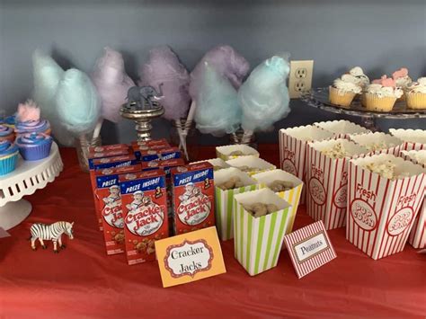 Disney Dumbo Circus Themed Party – Make it Quick and Easy