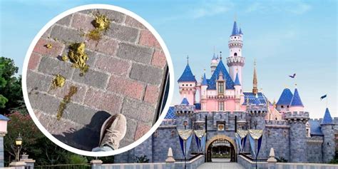 Disney guests poop while waiting in line for rides, ex-employees say
