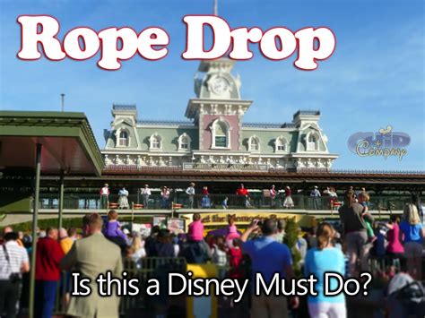 Disney rope drop. Rope Drop is a term that refers to being inside of the park before the official park opening. Guests can make their way into the main hub of each park and towards the different lands. Cast Members stand at the entrance of the lands with a rope, holding guests back until the park technically opens. Once the park officially opens, Cast Members ... 