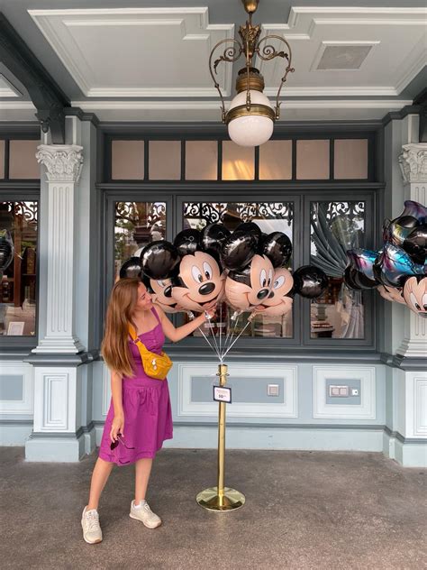Disneyland giriş ücreti