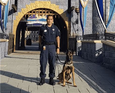 Disneyland security dog attacks 81-year-old grandfather, lawsuit alleges