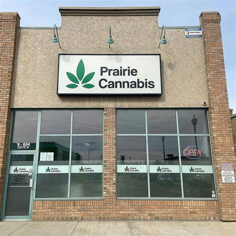 When Do Minnesota Marijuana Dispensaries Open Near Me? Minnesota-licensed marijuana dispensaries open at varying times, mostly between 9:00 a.m. and 10:00 a.m. daily. Anyone who intends to make an early-morning cannabis purchase is advised to contact the dispensary to confirm their availability.. 