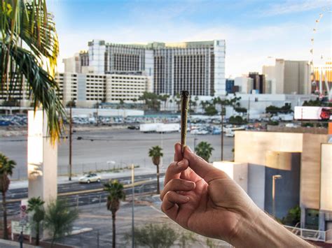 Top 10 Best Cannabis Dispensaries in Las Vegas, NV - October 2023 -