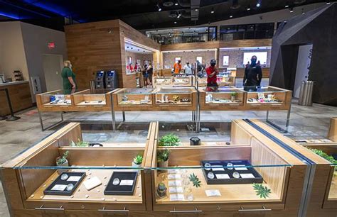 Dispensary near planet hollywood las vegas. Welcome to Cannabition Cannabis Museum, an interactive immersive exhibit that celebrates all things cannabis, we will be located at Planet 13 DIspensary in Las Vegas, NV. 